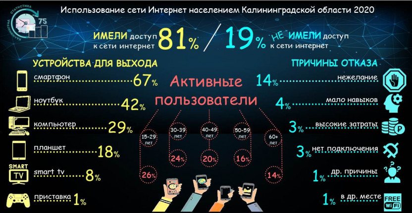 Пользовательский портрет в интернете 2020